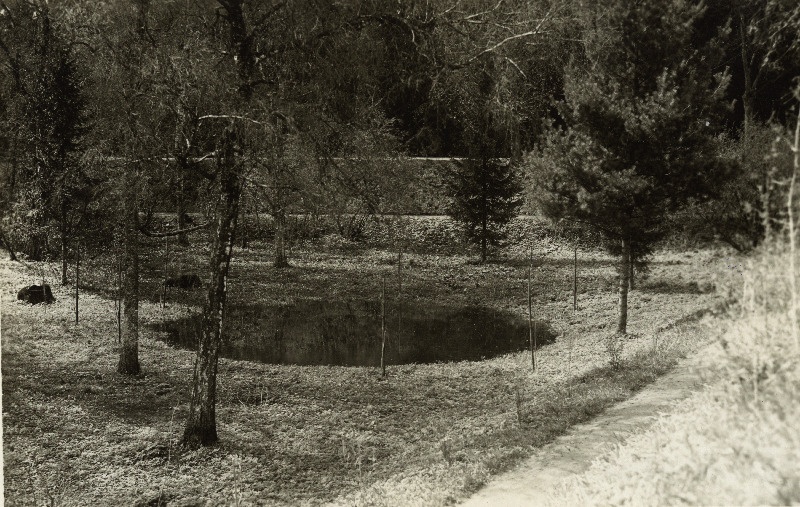 Raadi järve lehter Raadi mõisa pargis.