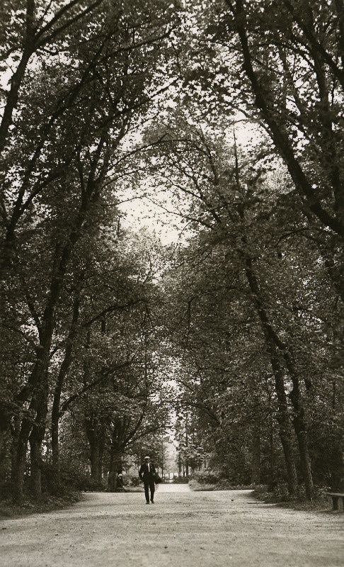 Raadi mõisa pargi peapuiestee.