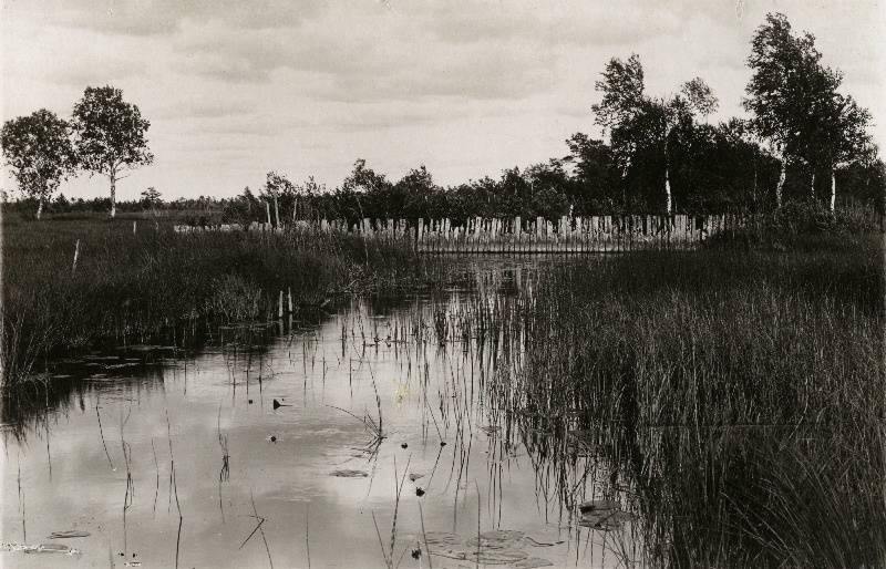 Nava jõgi.