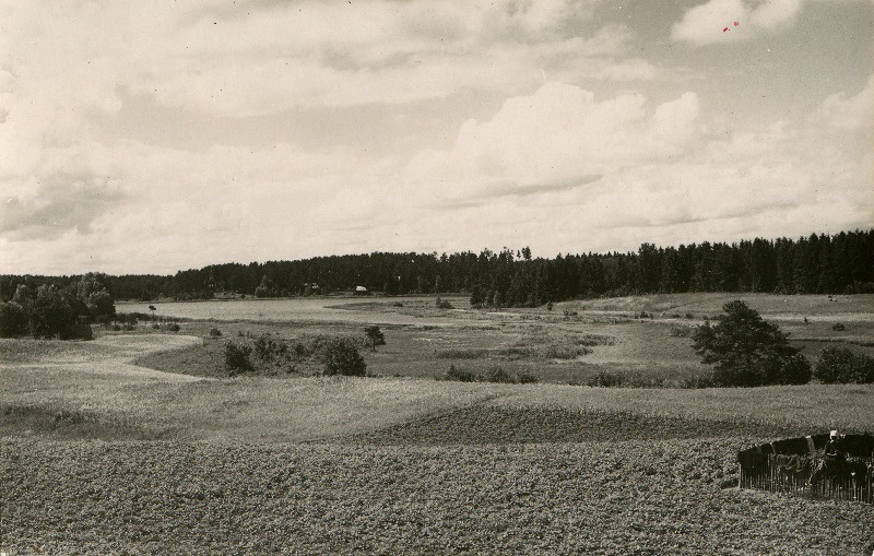 Maastik Elva lähedal.