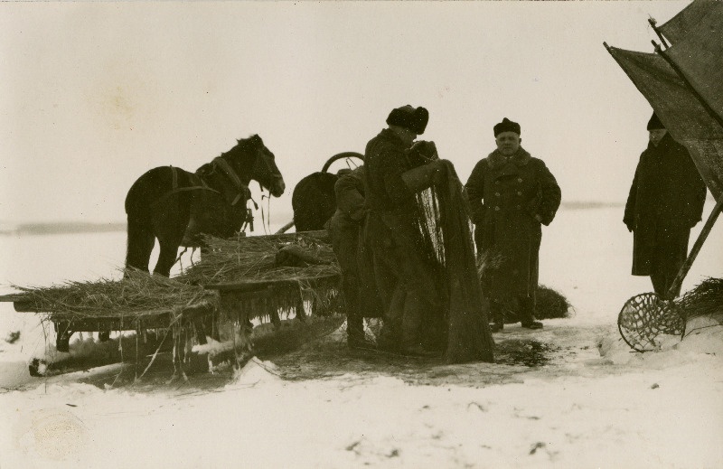 Talvine kalapüük Saadjärvel. Suurnooda pera jää alla laskmine.