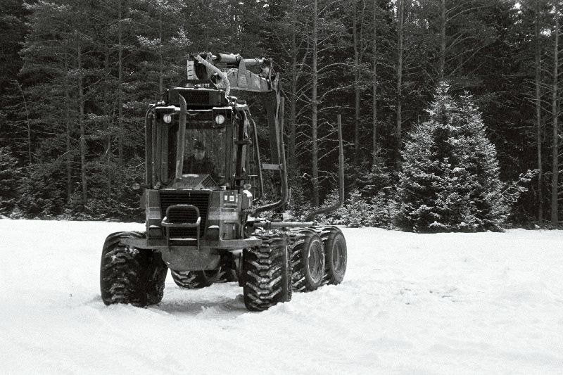 Suure-Jaani metsapunkt, metsas.