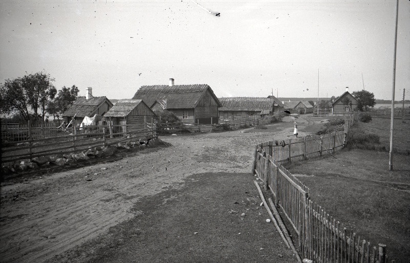 Rohuneeme küla põhjapoolne osa Viimsi vallas.