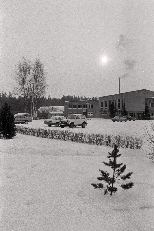 Suure-Jaani metsapunkt, metsas.