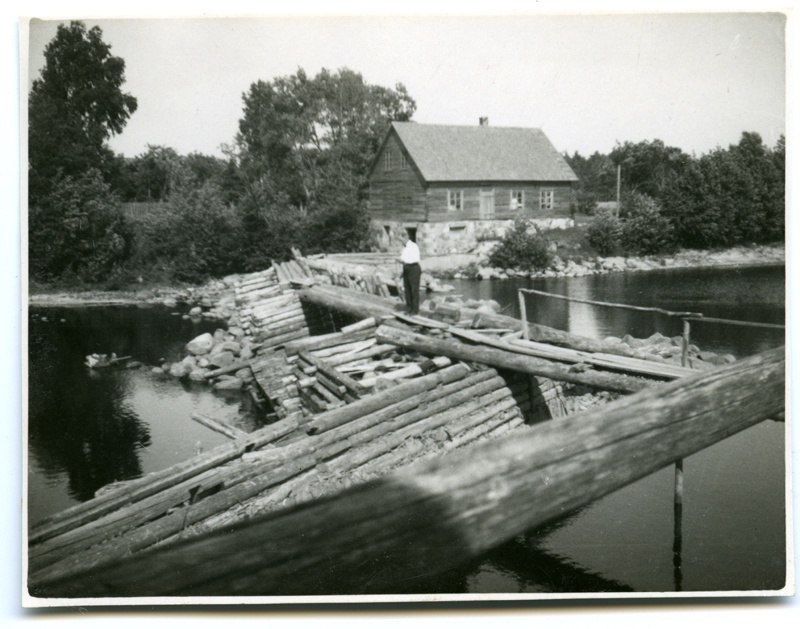 Uulu pais ja vesiveski Reiu jõel. Tammil seismas mees.