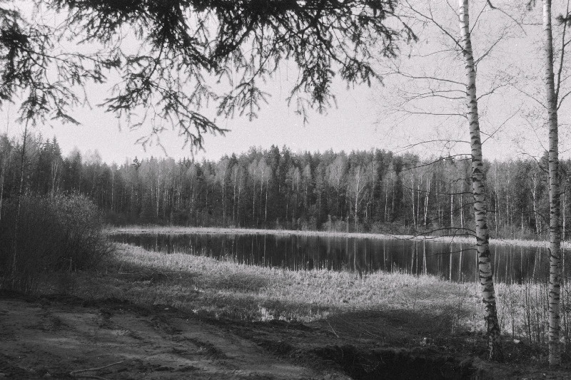 Kevadine järv Holstre-Nõmmel.