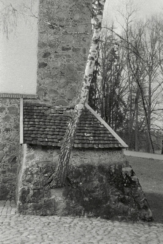 Vana viinaköögi müür kasega.