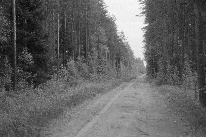 Raielangil Kaansoo kandis Luugi pinnase kobestaja.