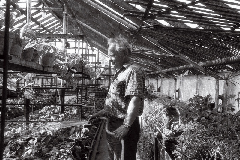 [Musta] tee aiandis, juhataja Jaan Jõekäär(s)?, rooside maja ja Anne Vahtra.