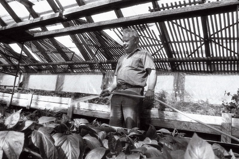 [Musta] tee aiandis, juhataja Jaan Jõekäär(s)?, rooside maja ja Anne Vahtra.