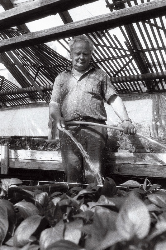 [Musta] tee aiandis, juhataja Jaan Jõekäär(s)?, rooside maja ja Anne Vahtra.