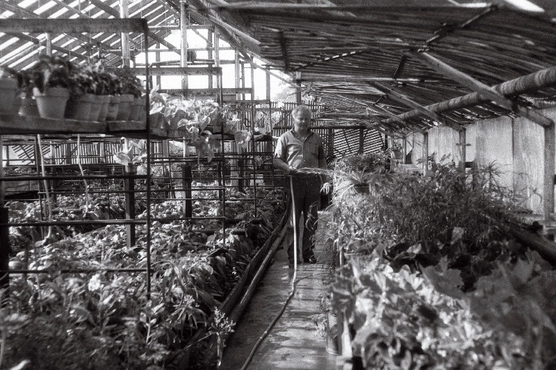 [Musta] tee aiandis, juhataja Jaan Jõekäär(s)?, rooside maja ja Anne Vahtra.