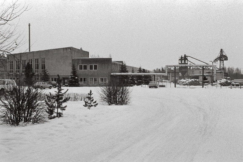 Suure-Jaani metsapunkt, metsas.