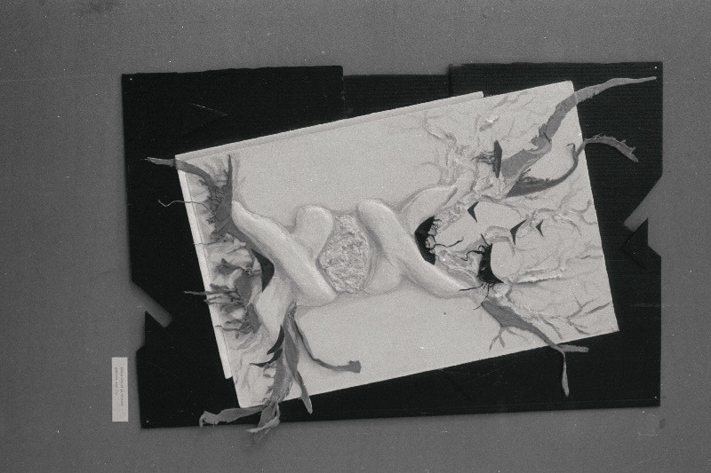 Viljandi 4. Keskkooli kunstiringi õpilase töö.