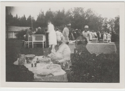 Seltskond pidulikul einel vabas õhus  duplicate photo