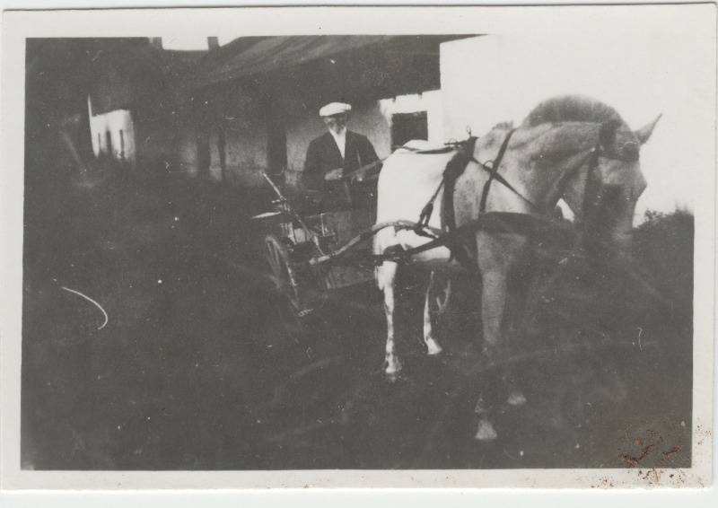 Tundmatu mees hobuvankriga