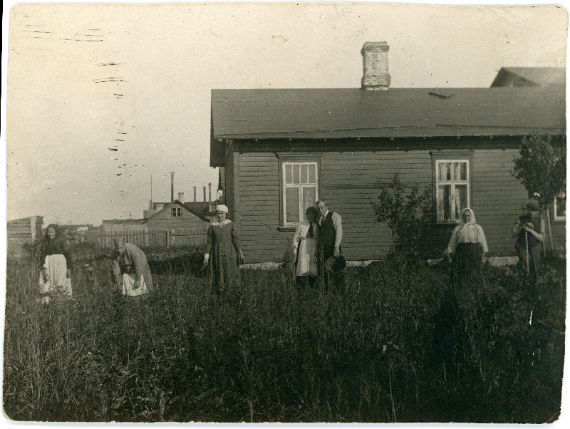 Kartulivõtt Lubergi aias 1921 sügis. Maja taustal on näha kartulivaod, kus inimesed askeldavad - sh Ludmilla Lubergi sugulased ja Maritovide perekond