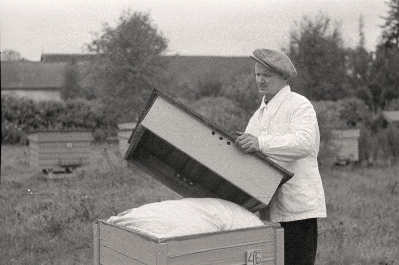 Rakvere rajooni Kullaaru aiandussovhoosi vanem mesinik H.Sard.