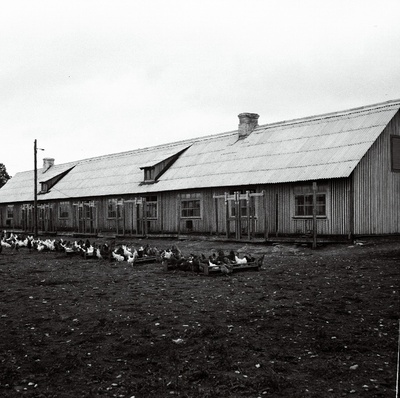 Kurtna Linnukasvatuse Katsejaama kanala välisvaade.  duplicate photo