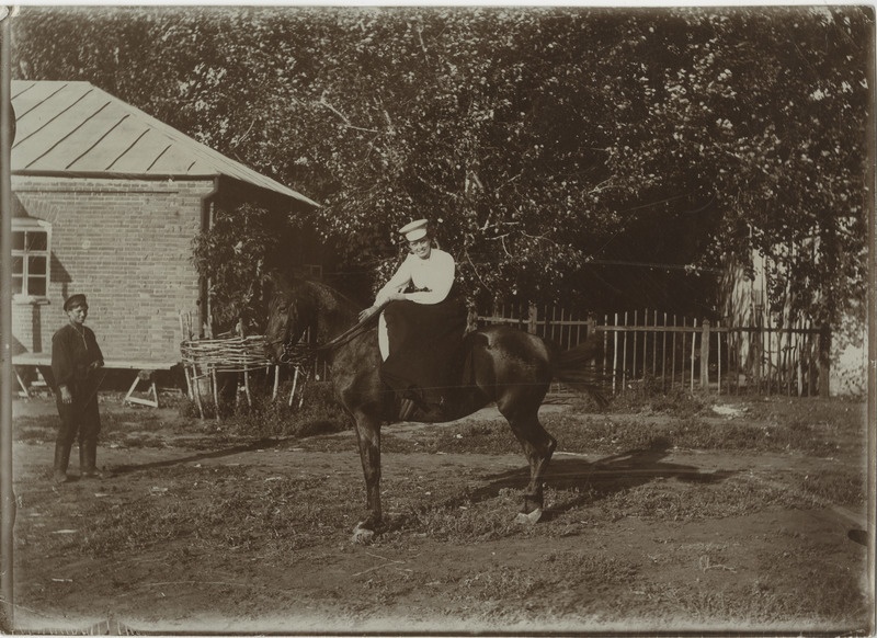 Seltskond heinamaal