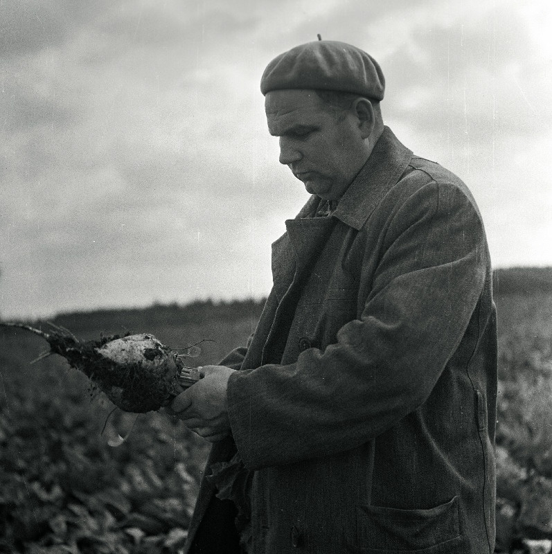 Läänemets, Ü. - Elva rajooni Kureküla sovhoosi peaagronoom.