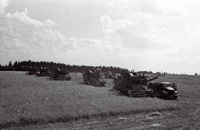 Viljakoristamine kombainidega Kuimetsa kolhoosis.  duplicate photo