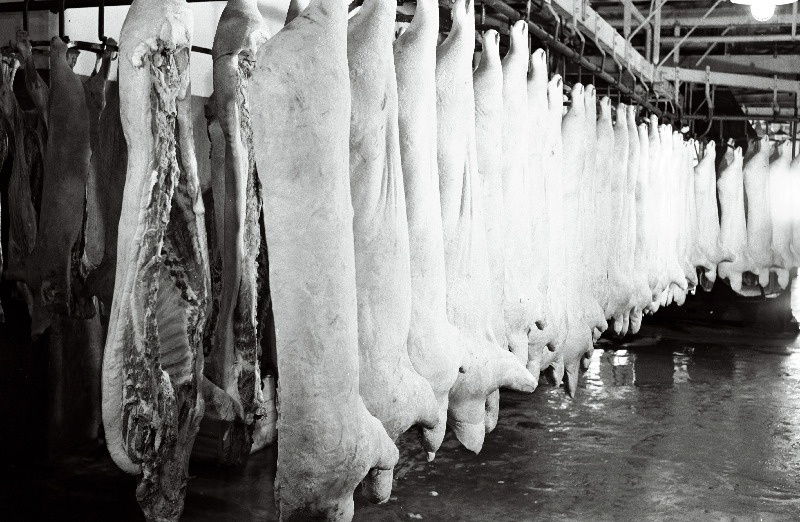 Peekonid Võhma Lihakombinaadis.