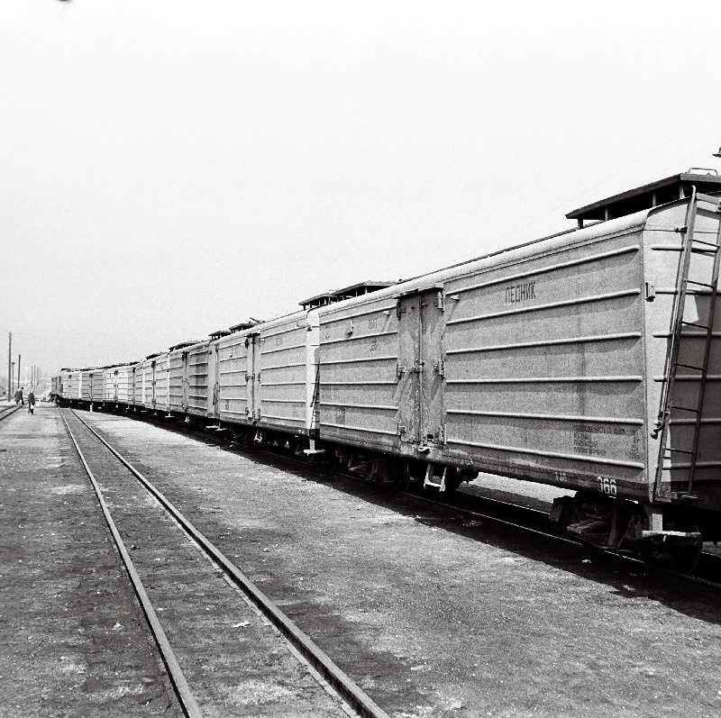 Termilised kaubavagunid kitsarööpmelisel raudteel.