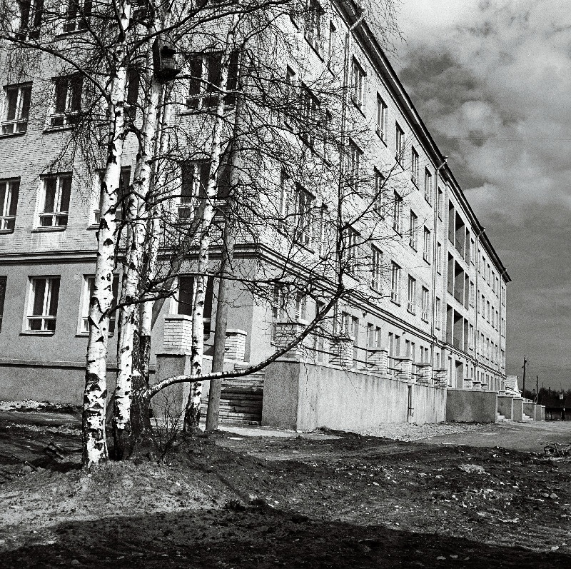 Merimetsa Haigla peahoone