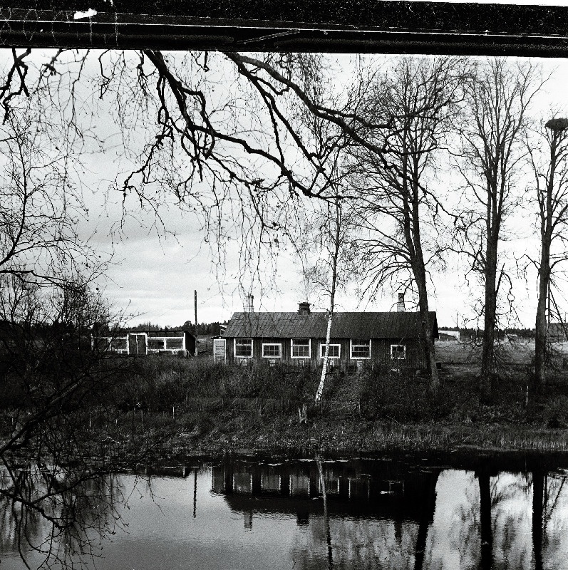 Kurtna Linnukasvatuse Katsejaam.