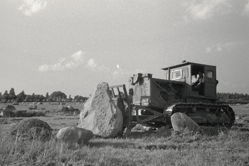 Kivide koristamine Rakvere rajoonl Põdrang sovhoosis.