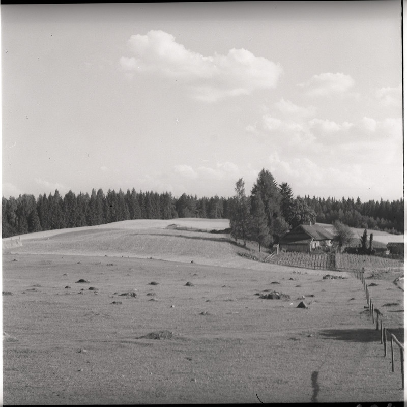 Maastik - karjamaa, põllud, taluhooned