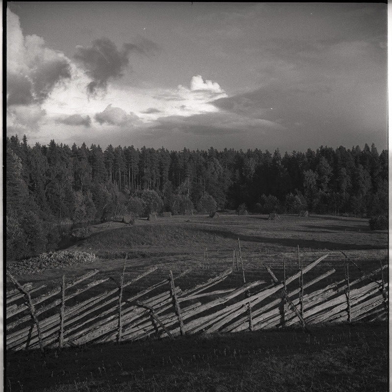 Maastik - tara, põllud