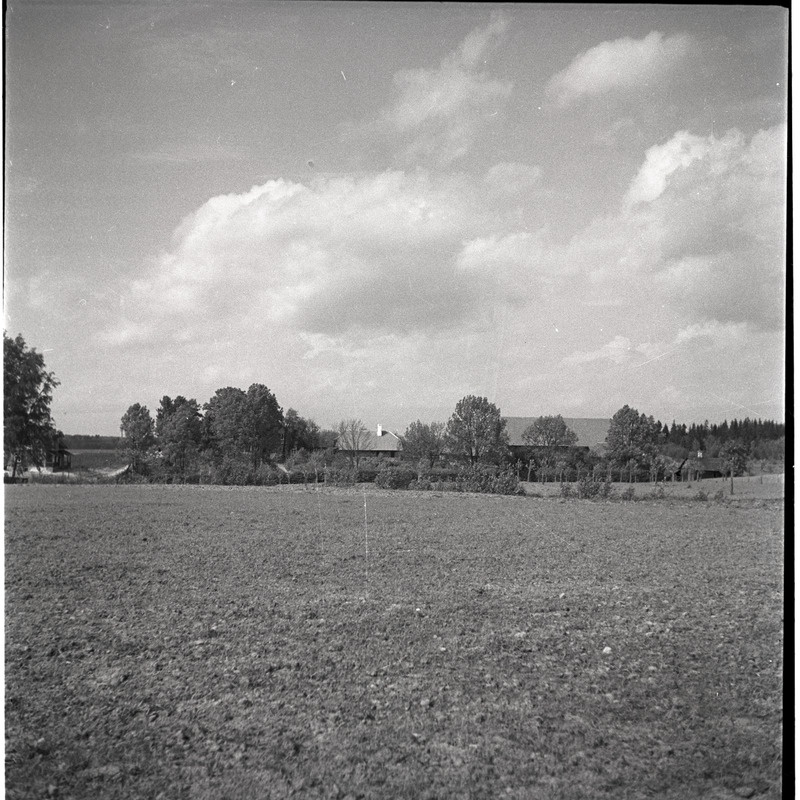 Maastik - põllud, viljahakid