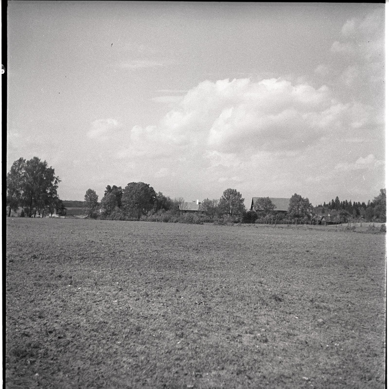 Maastik taluhoonetega