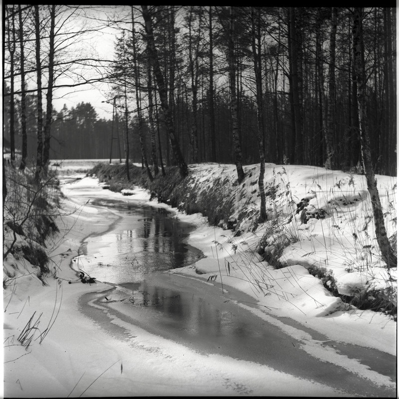 Talvine maastik - oja metsa – Carl Sarap - Ajapaik