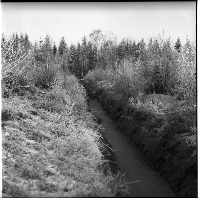 Talvine maastik kraaviga