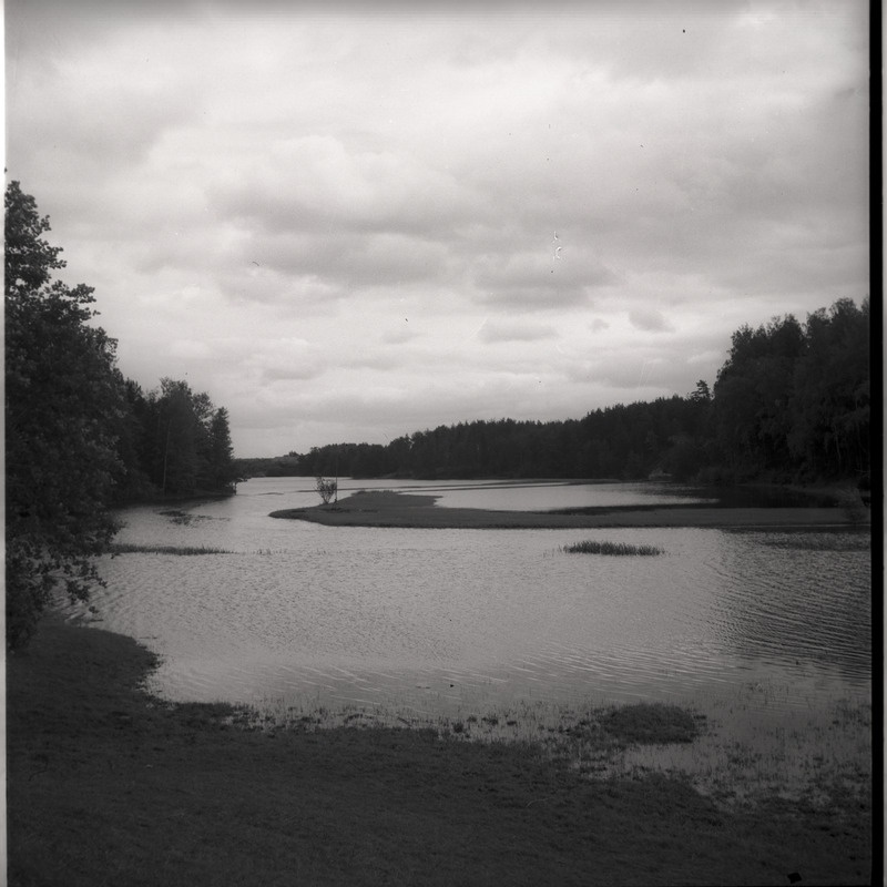 Maastik - veekogu kaldal mets