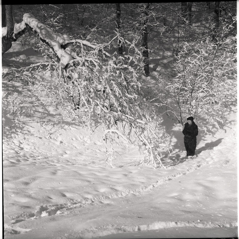 Talvine maastik - lumised puud, Johanna Triefeldt seismas