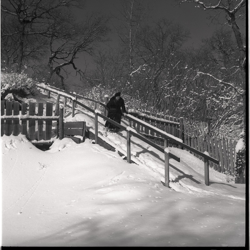 Talvine maastik - Johanna Triefeldt trepil