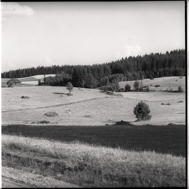 Maastik, tagaplaanil taluhoone