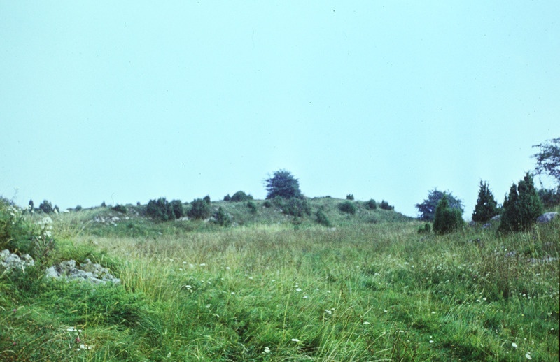 [Foto veel kirjeldamata]