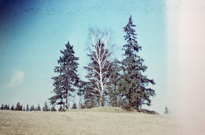 [Foto veel kirjeldamata]