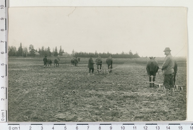 Awakeners in the field of the Vahi manor near Tartu in 1913