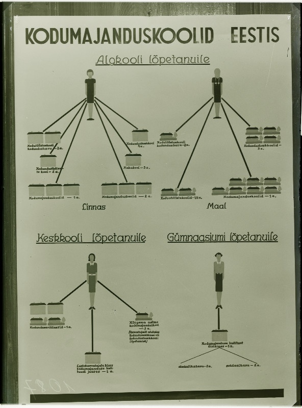 Diagramm kodumajanduskoolide kohta Eestis.