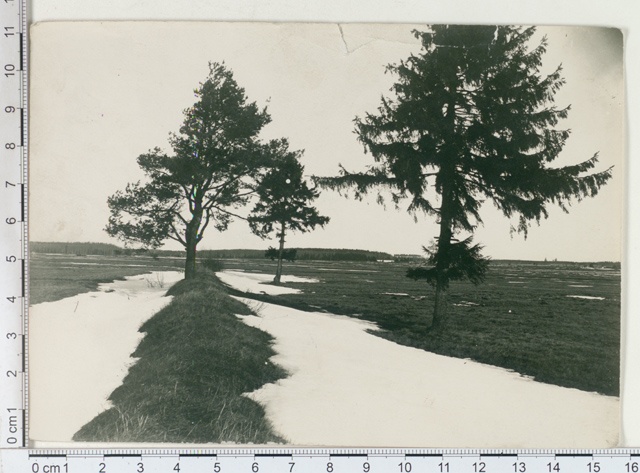 Last snow in 1913