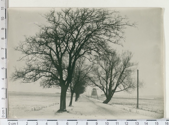 Winter Road 1911