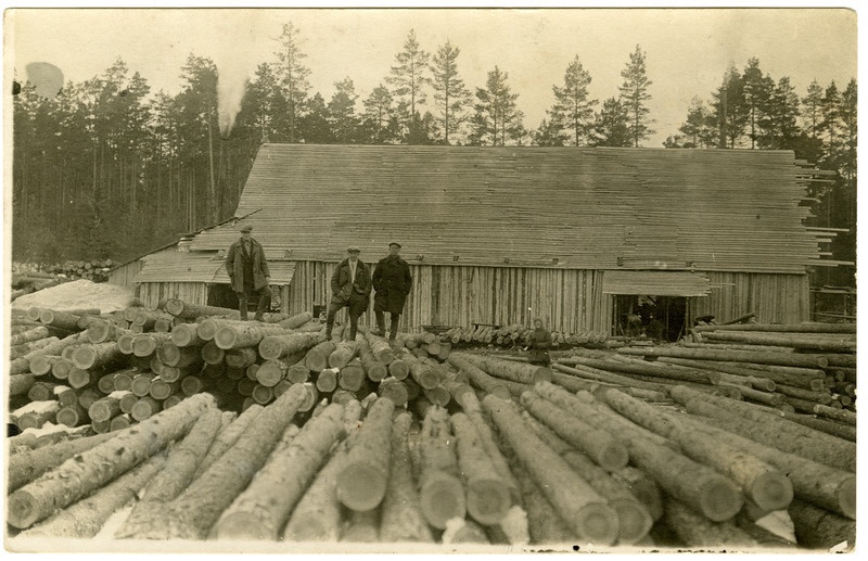 Palgiladu Koljaku metsas