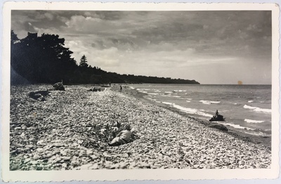 Fotopostkaart sarjast "Kaunis kodumaa" Nr. 439 (numbri kordus) - Fotopostkaart Rene Viljati erakogust  duplicate photo