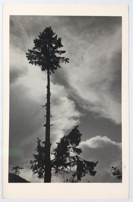 Fotopostkaart sarjast "Kaunis kodumaa" Nr. 852 - Fotopostkaart Rene Viljati erakogust  duplicate photo